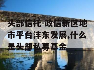 头部信托-政信新区地市平台沣东发展,什么是头部私募基金