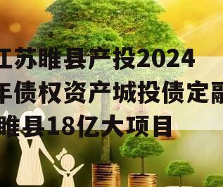 江苏睢县产投2024年债权资产城投债定融,睢县18亿大项目