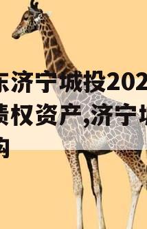 山东济宁城投2024年债权资产,济宁城投并购