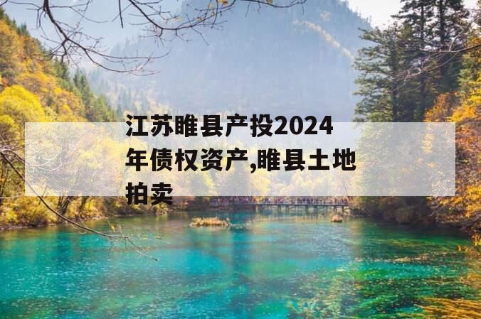 江苏睢县产投2024年债权资产,睢县土地拍卖