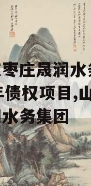 山东枣庄晟润水务2023年债权项目,山东晟润水务集团