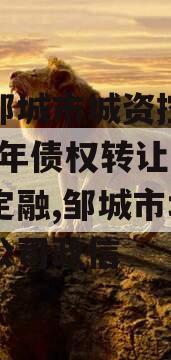 山东邹城市城资控政信2024年债权转让城投债定融,邹城市城资有限公司政信