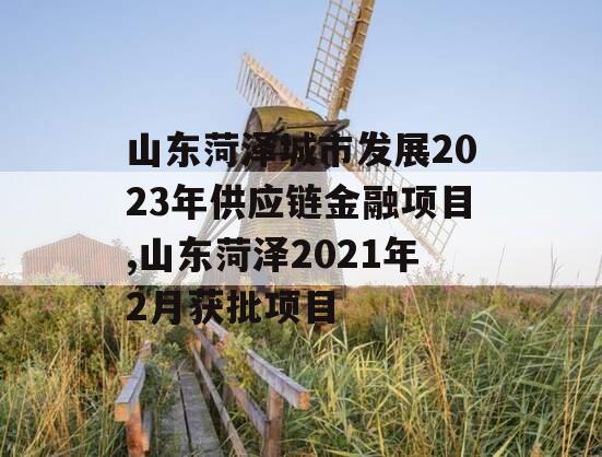 山东菏泽城市发展2023年供应链金融项目,山东菏泽2021年2月获批项目