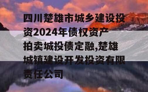 四川楚雄市城乡建设投资2024年债权资产拍卖城投债定融,楚雄城镇建设开发投资有限责任公司