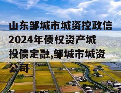 山东邹城市城资控政信2024年债权资产城投债定融,邹城市城资公司