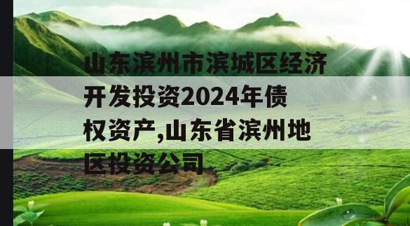 山东滨州市滨城区经济开发投资2024年债权资产,山东省滨州地区投资公司