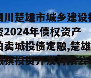 四川楚雄市城乡建设投资2024年债权资产拍卖城投债定融,楚雄城镇投资开发有限公司