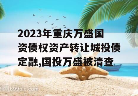 2023年重庆万盛国资债权资产转让城投债定融,国投万盛被清查