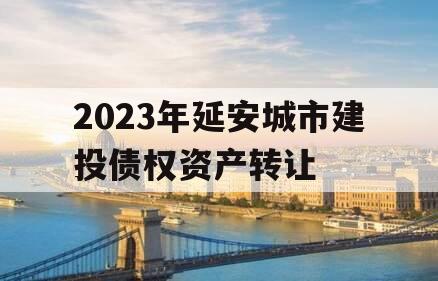 2023年延安城市建投债权资产转让