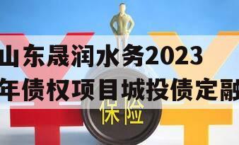 山东晟润水务2023年债权项目城投债定融