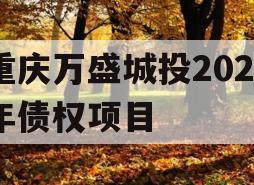 重庆万盛城投2023年债权项目