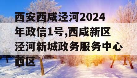 西安西咸泾河2024年政信1号,西咸新区泾河新城政务服务中心西区