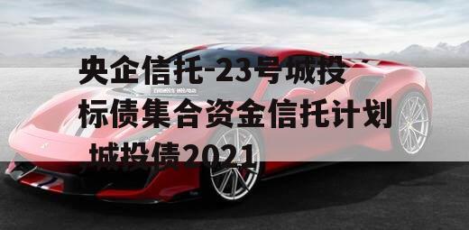 央企信托-23号城投标债集合资金信托计划,城投债2021