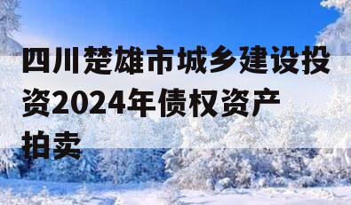 四川楚雄市城乡建设投资2024年债权资产拍卖