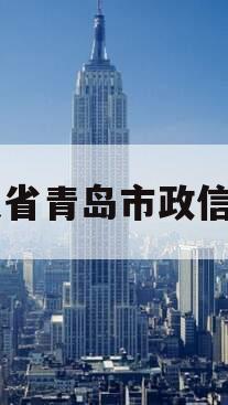 山东省青岛市政信项目