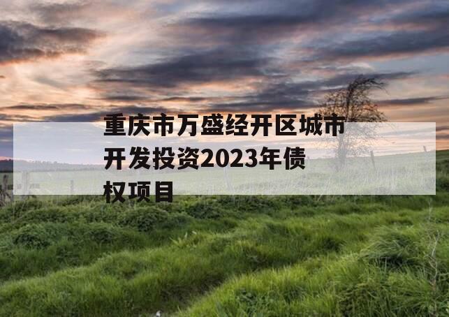 重庆市万盛经开区城市开发投资2023年债权项目