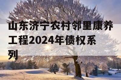 山东济宁农村邻里康养工程2024年债权系列