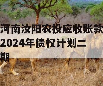 河南汝阳农投应收账款2024年债权计划二期