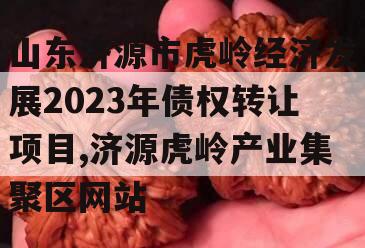 山东济源市虎岭经济发展2023年债权转让项目,济源虎岭产业集聚区网站