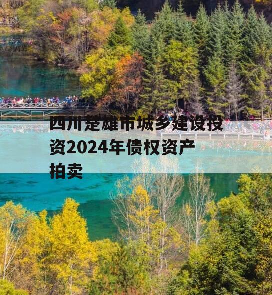 四川楚雄市城乡建设投资2024年债权资产拍卖