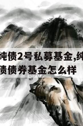 纯债2号私募基金,纯债债券基金怎么样