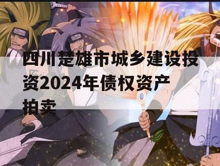 四川楚雄市城乡建设投资2024年债权资产拍卖