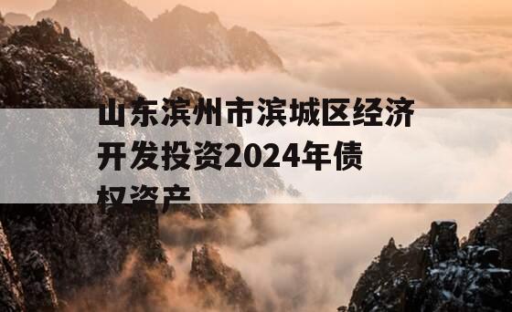 山东滨州市滨城区经济开发投资2024年债权资产