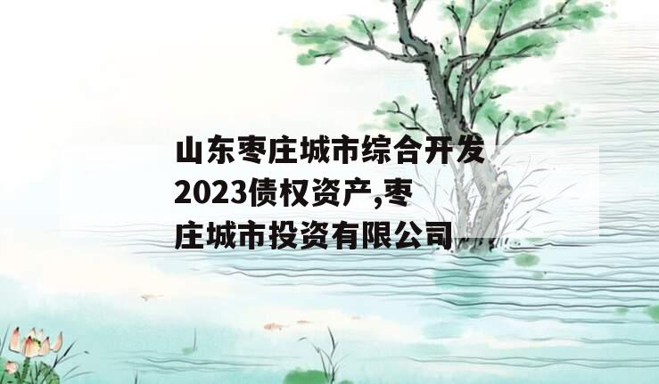 山东枣庄城市综合开发2023债权资产,枣庄城市投资有限公司