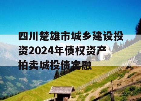 四川楚雄市城乡建设投资2024年债权资产拍卖城投债定融