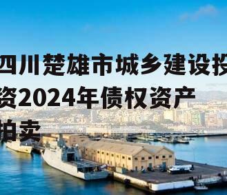 四川楚雄市城乡建设投资2024年债权资产拍卖