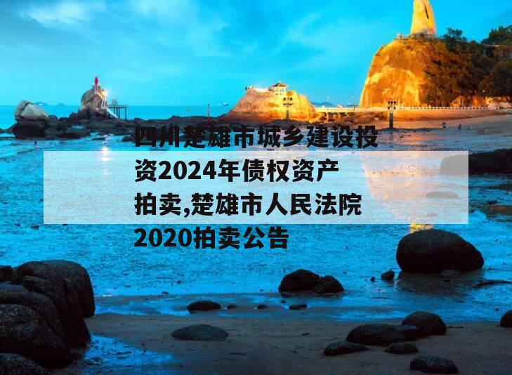 四川楚雄市城乡建设投资2024年债权资产拍卖,楚雄市人民法院2020拍卖公告