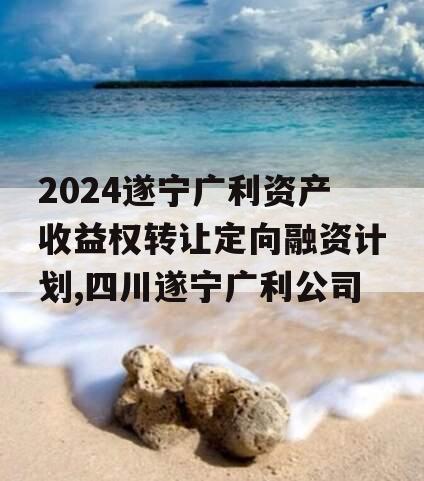 2024遂宁广利资产收益权转让定向融资计划,四川遂宁广利公司