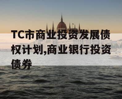 TC市商业投资发展债权计划,商业银行投资债券