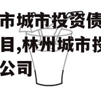 林州市城市投资债权融资项目,林州城市投资有限公司