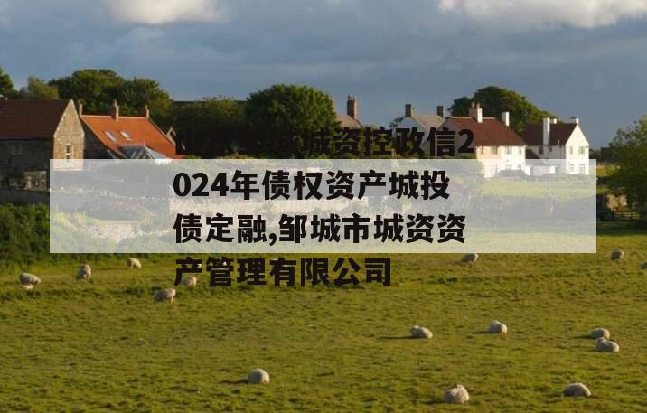 山东邹城城资控政信2024年债权资产城投债定融,邹城市城资资产管理有限公司