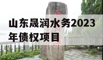 山东晟润水务2023年债权项目