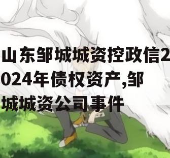 山东邹城城资控政信2024年债权资产,邹城城资公司事件