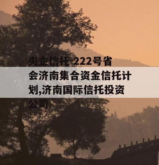 央企信托-222号省会济南集合资金信托计划,济南国际信托投资公司