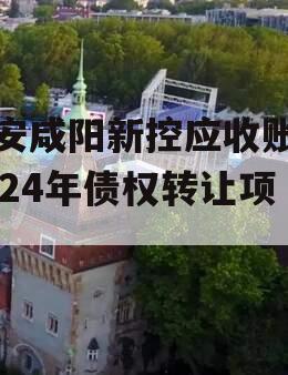 西安咸阳新控应收账款2024年债权转让项目