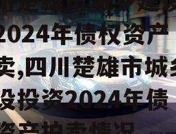 四川楚雄市城乡建设投资2024年债权资产拍卖,四川楚雄市城乡建设投资2024年债权资产拍卖情况