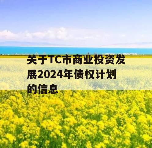 关于TC市商业投资发展2024年债权计划的信息