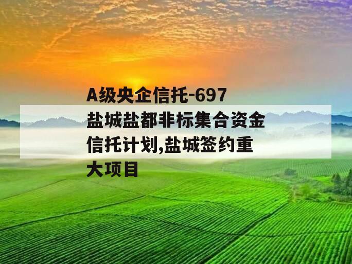 A级央企信托-697盐城盐都非标集合资金信托计划,盐城签约重大项目