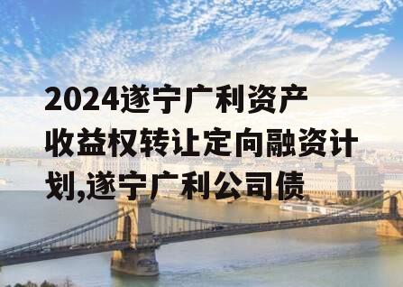 2024遂宁广利资产收益权转让定向融资计划,遂宁广利公司债