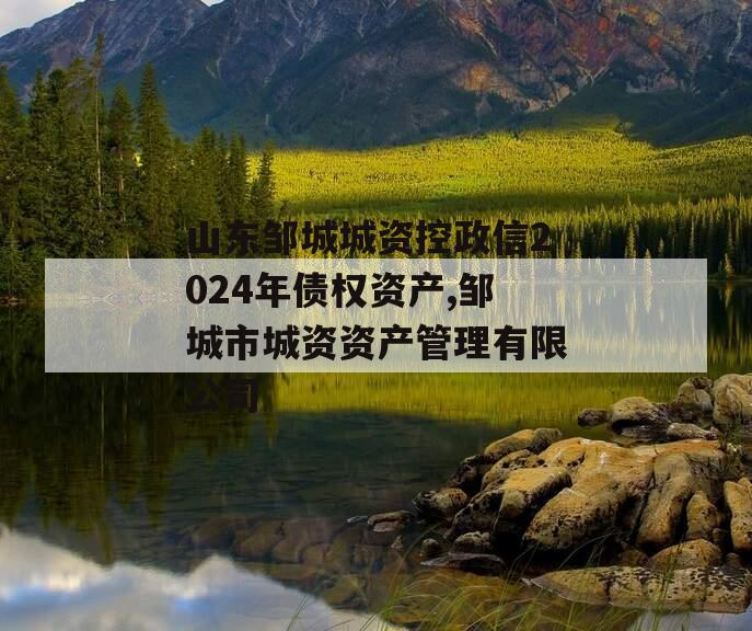 山东邹城城资控政信2024年债权资产,邹城市城资资产管理有限公司