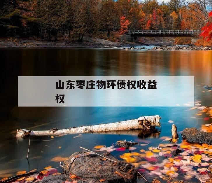 山东枣庄物环债权收益权