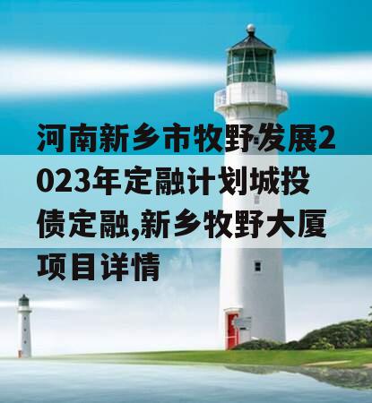 河南新乡市牧野发展2023年定融计划城投债定融,新乡牧野大厦项目详情