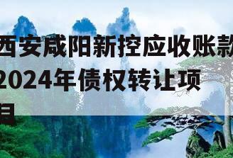 西安咸阳新控应收账款2024年债权转让项目