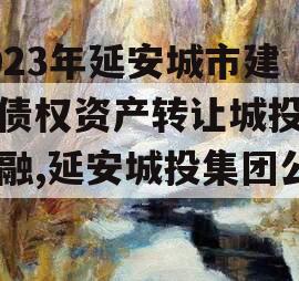 2023年延安城市建投债权资产转让城投债定融,延安城投集团公司