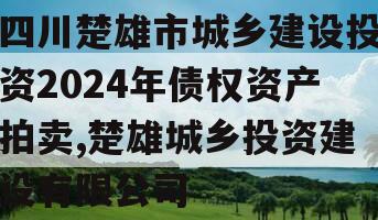 四川楚雄市城乡建设投资2024年债权资产拍卖,楚雄城乡投资建设有限公司