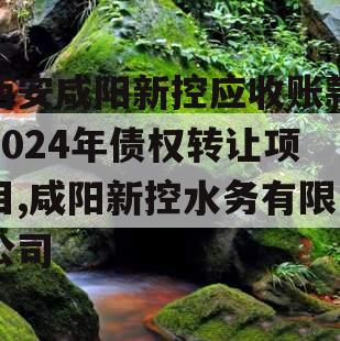 西安咸阳新控应收账款2024年债权转让项目,咸阳新控水务有限公司